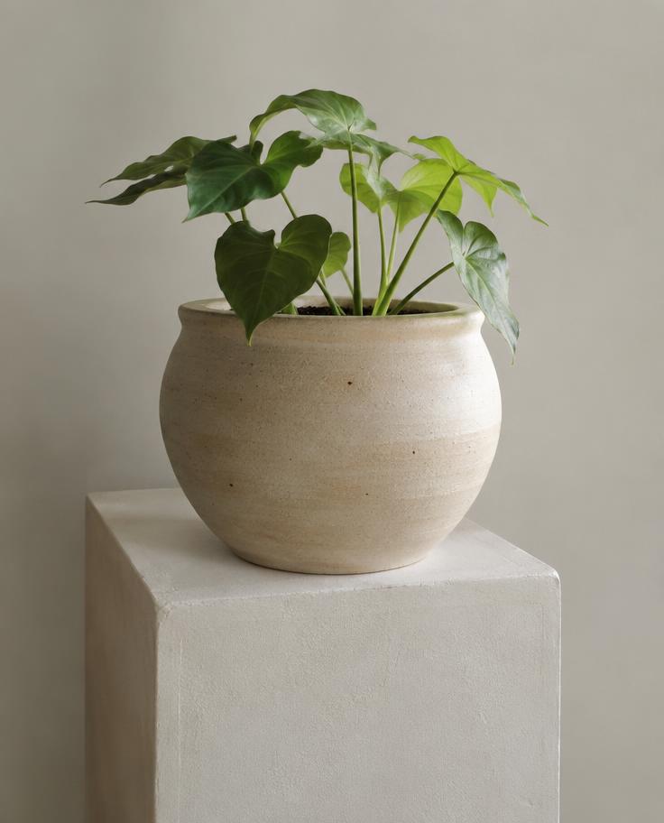 Stoneware Planter 20cm